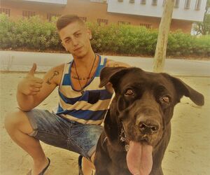 Cristian
