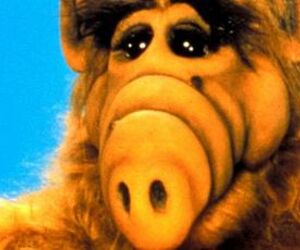 Alf
