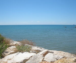Mar