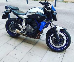Tauro38