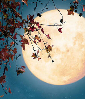 Moon