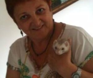 josefina