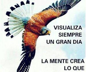 casonti