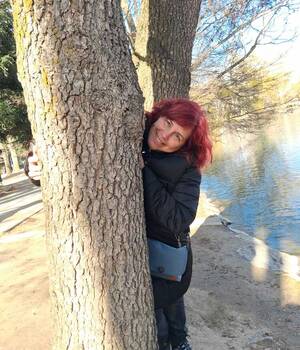 Araceli