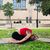 yoga con ari