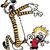 Calvin Hobbes