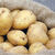 tubercledasfal