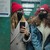 tamara y nerea
