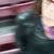 Montse
