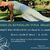 CLASE GRATUITA DE KUNDALINI YOGA AL AIRE LIBRE 