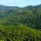 Paseo por Collserola desde Baixador de Vallvidrera hasta Plaza JFK  (Avda. Tibidado)