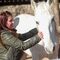 Confianza y comunic. con caballos 15â‚¬