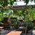 🥩🌺 🍾 BARBACOA PRIMAVERAL