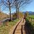 Salida en bici Mollet-rio Mogent-La Roca-Mollet