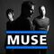 Concierto de Muse Festival Benicassim