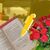 Sant Jordi con otros lectores jovenes
