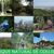 🏃‍♂️🌺 RUTA PANORAMICA -SANT GENÍS-