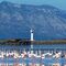 Salida al Delta del Ebro