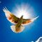 SESIONES  SEMANALES  DE MEDITACION RAJA YOGA EN BRAHMA KUMARIS BARCELONA