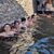 Termas, senderismo y fotografía por Caldes de Montbui