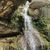 RUTA 7 GORGS CAMPDEVANOL 