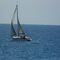 Navega en velero!