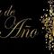 FIESTA REMEMBER FIN DE AñO ANTICIPADO 2016 STUDIO54