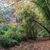 🏃‍♂️🌺🌳 RUTA PRIMAVERAL -COLOBRERS-