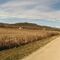 Ruta en bici a Olot