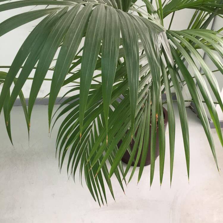 Foto de perfil de Sir