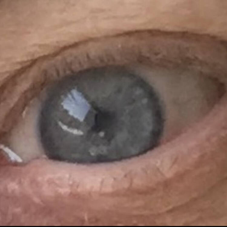 Foto de perfil de Elisa