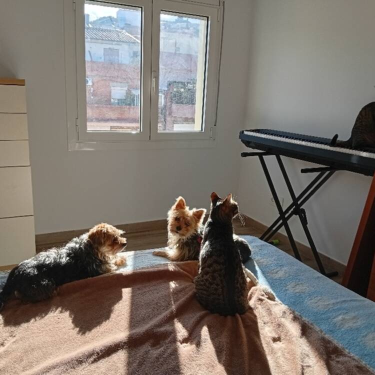 Foto de perfil de YoMsisma