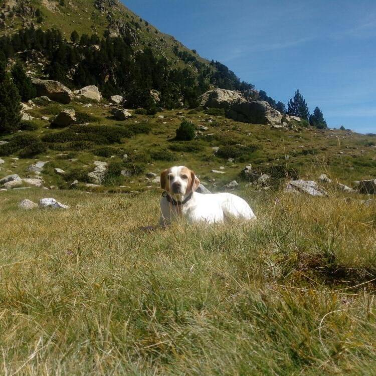 Foto de perfil de ELI i marcos