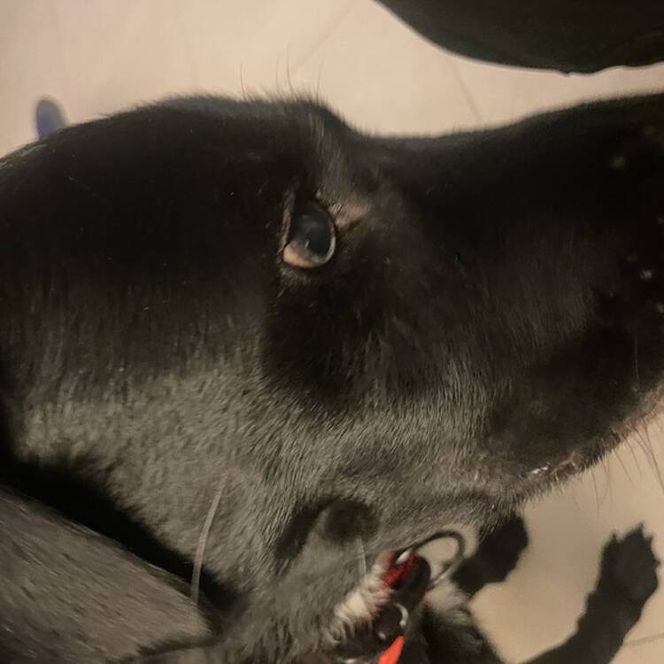 Foto de perfil de Vanessa