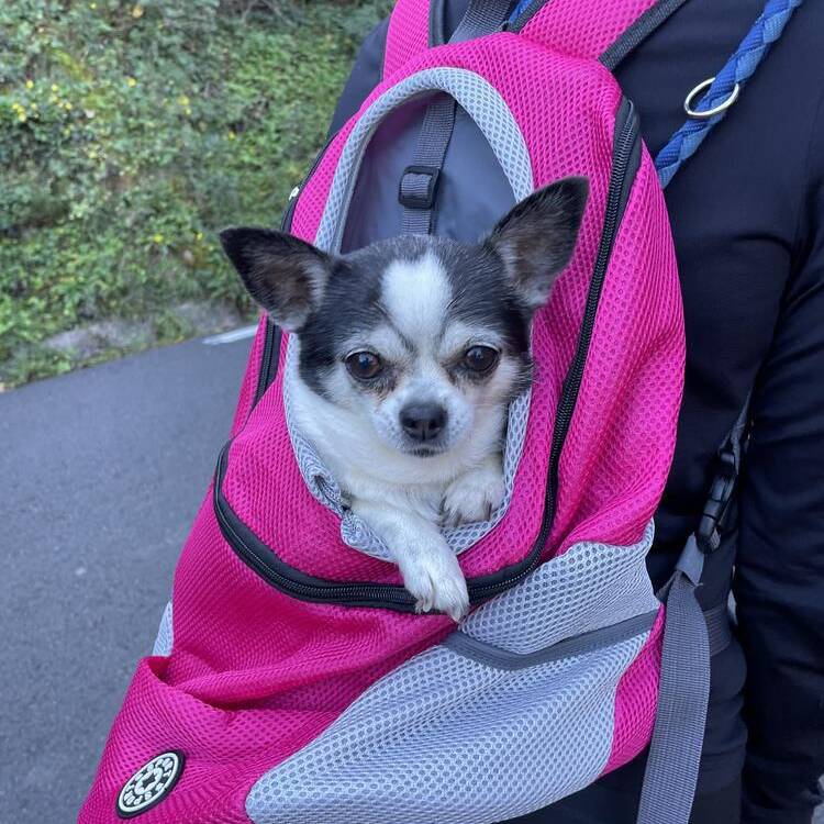 Foto de perfil de bombon
