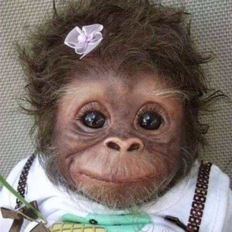 Foto de perfil de Pepa