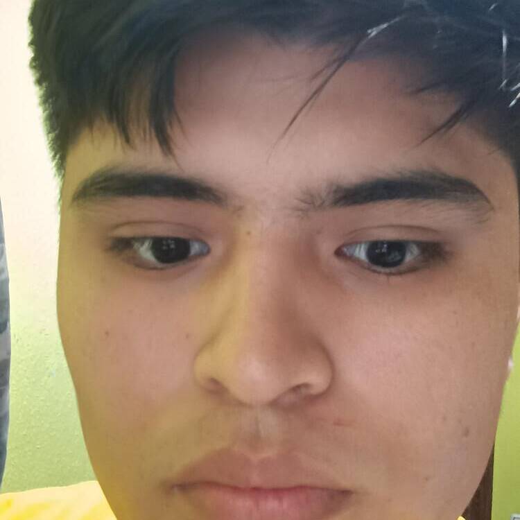 Foto de perfil de Jhoel