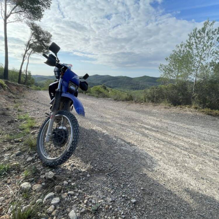 Foto de perfil de David