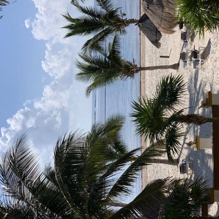 Foto de perfil de Belen