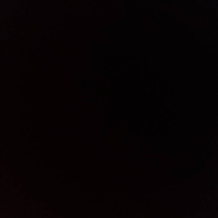 Foto de perfil de Paula