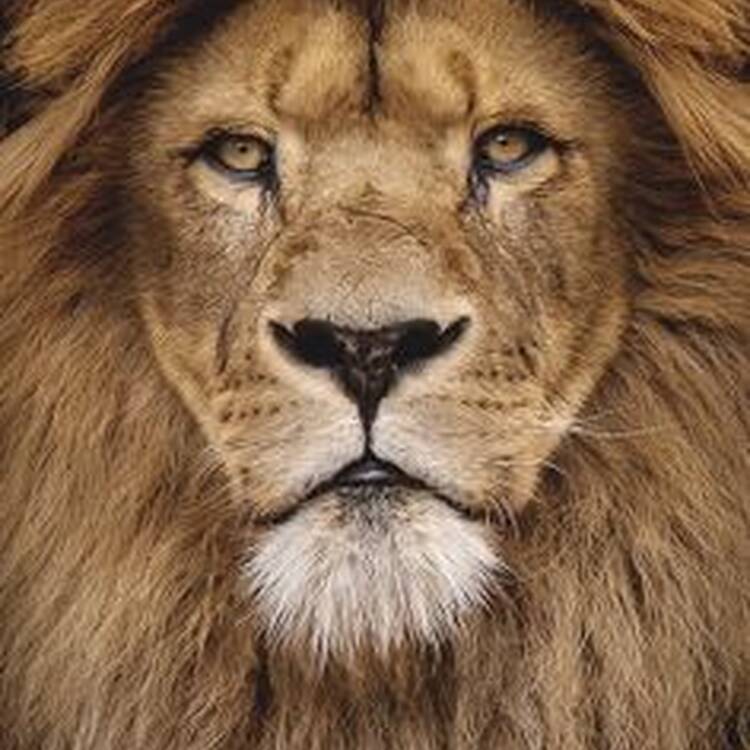 Foto de perfil de Marc