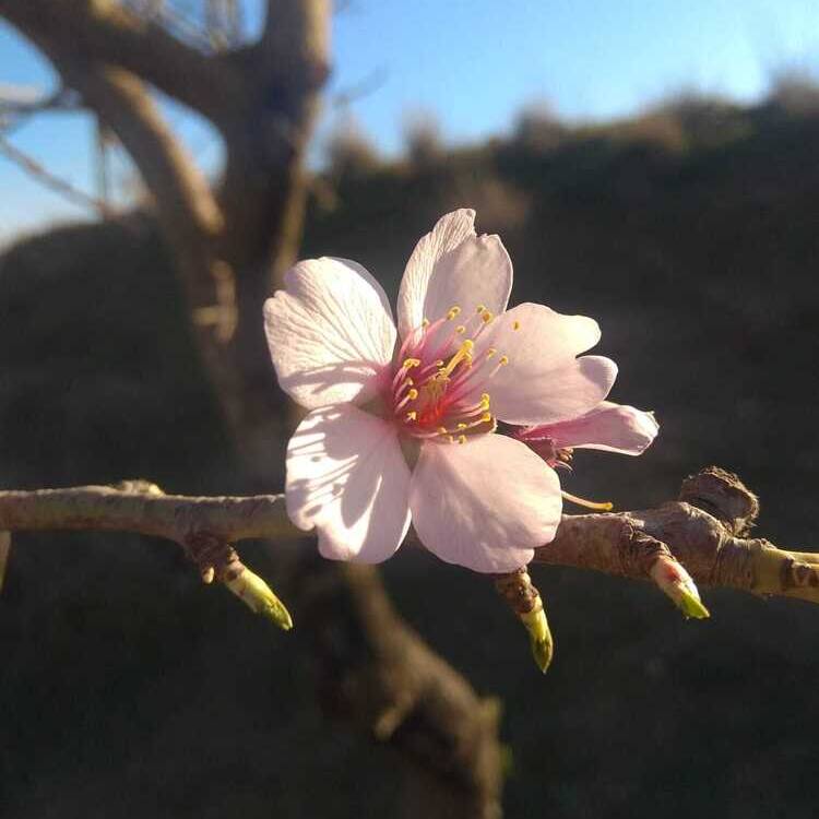Foto de perfil de elenn