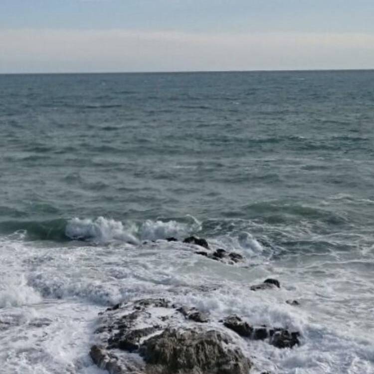 Foto de perfil de rosa