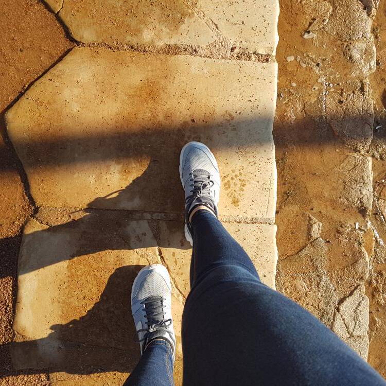Foto de perfil de noelia