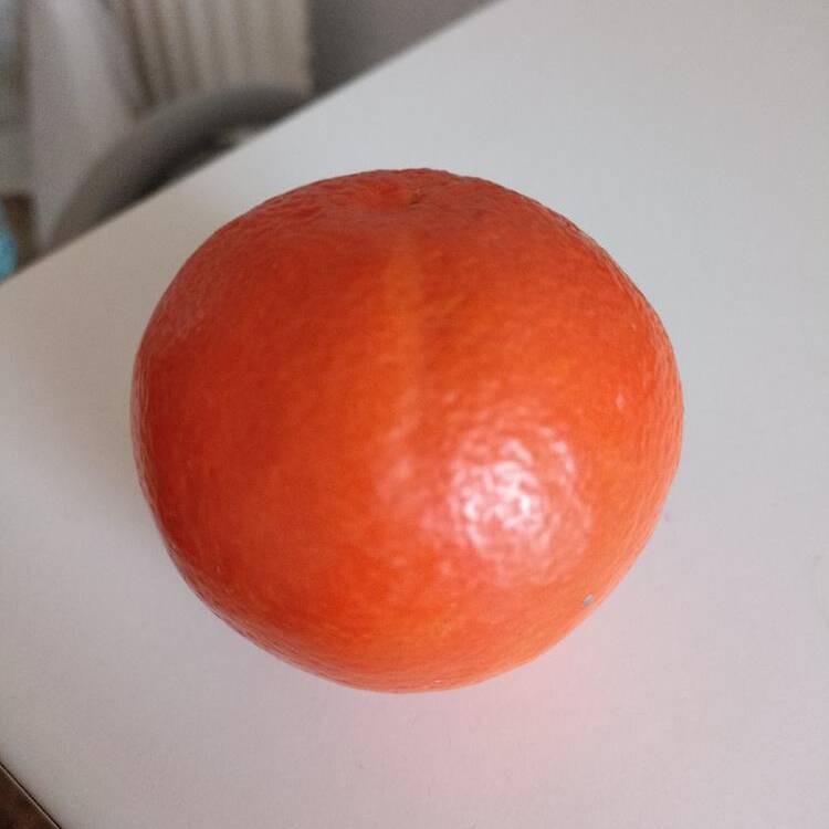Foto de perfil de Tania