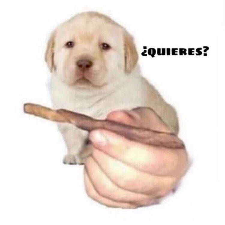 Foto de perfil de Jozu