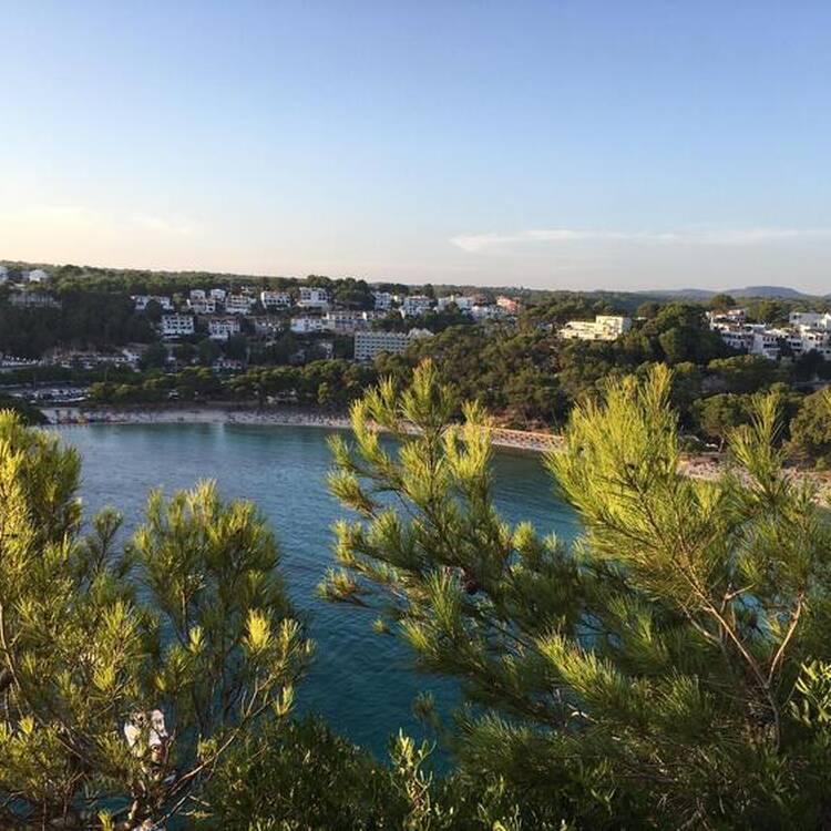 Foto de perfil de paqui