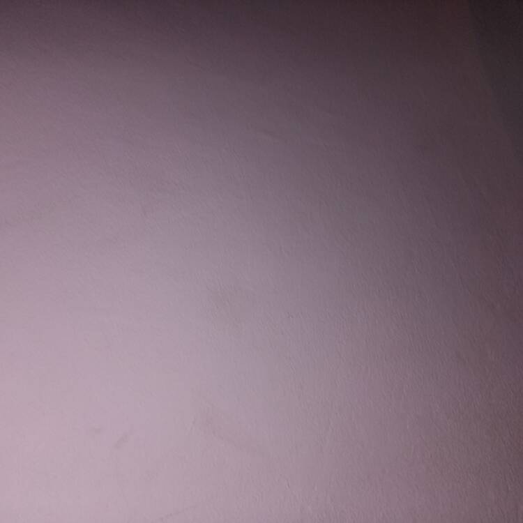 Foto de perfil de RayAN