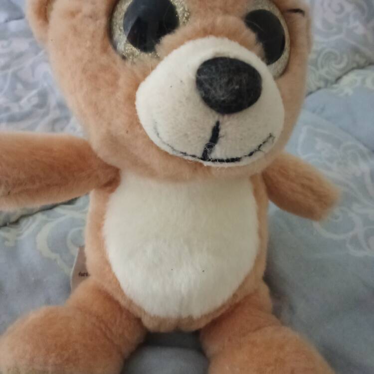 Foto de perfil de Iris