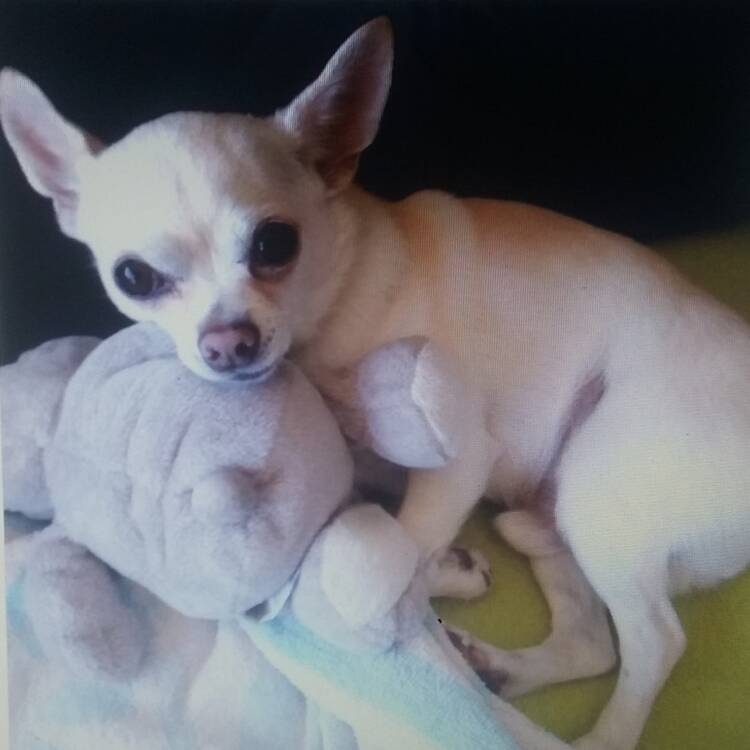 Foto de perfil de Alejandro